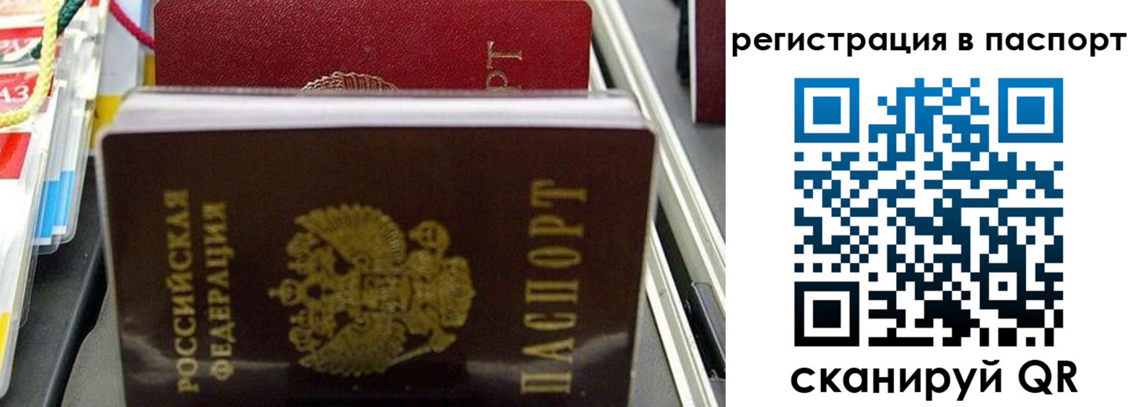 прописка для школы в Краснокаменске